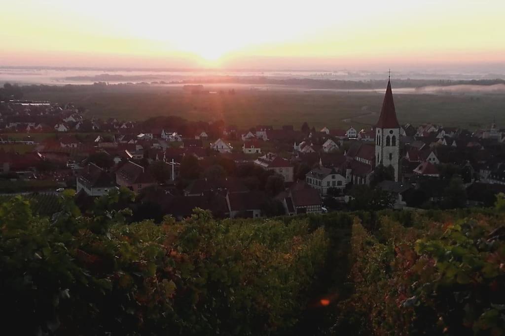 Chez Delphine Appartement Ammerschwihr