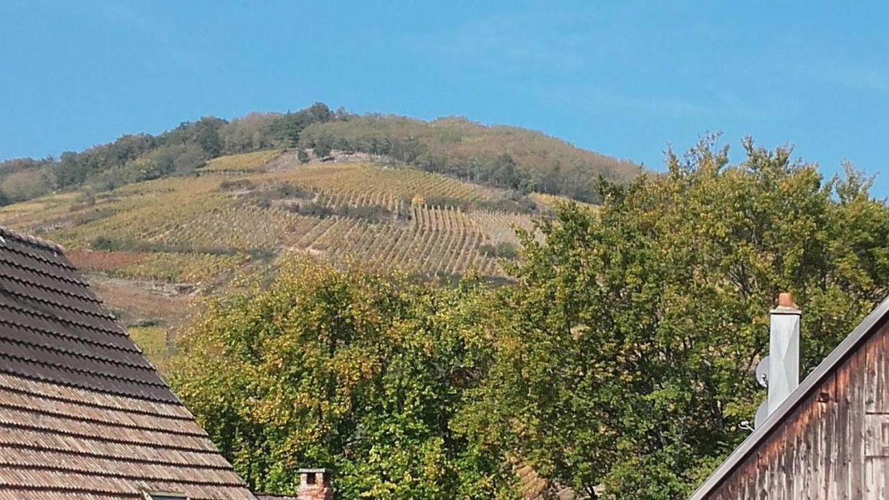 Chez Delphine Appartement Ammerschwihr